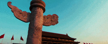 5.gif